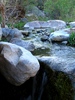 photo thumbnail #15
