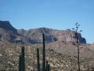 photo thumbnail #9