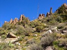 photo thumbnail #14