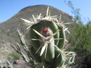 photo thumbnail #6