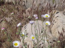 photo thumbnail #15