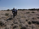 photo thumbnail #4