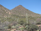 photo thumbnail #1