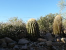 photo thumbnail #2