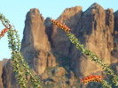 photo thumbnail #6