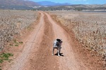 photo thumbnail #7