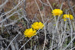 photo thumbnail #12