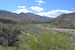 photo thumbnail #13