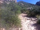 photo thumbnail #15