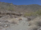photo thumbnail #2