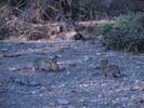 photo thumbnail #2