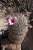 photo thumbnail #11