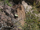 photo thumbnail #14