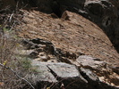 photo thumbnail #15