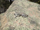 photo thumbnail #2
