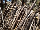 photo thumbnail #3