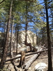 photo thumbnail #4