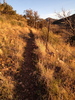 photo thumbnail #8