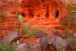 photo thumbnail #8