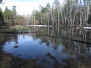 photo thumbnail #7