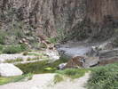 photo thumbnail #15