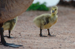 photo thumbnail #1