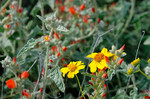 photo thumbnail #7