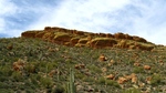 photo thumbnail #11