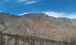 photo thumbnail #2