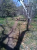 photo thumbnail #11