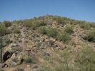 photo thumbnail #4