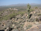 photo thumbnail #10