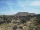 photo thumbnail #3