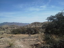 photo thumbnail #7