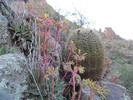 photo thumbnail #6