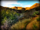 photo thumbnail #4