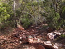 photo thumbnail #2