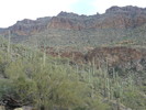 photo thumbnail #6