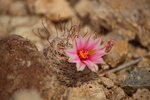 photo thumbnail #10