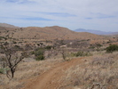 photo thumbnail #9