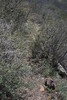 photo thumbnail #14