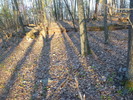 photo thumbnail #7