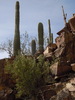 photo thumbnail #8