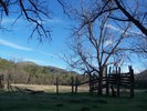 photo thumbnail #11