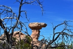 photo thumbnail #5