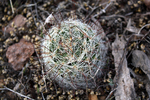 photo thumbnail #9