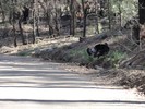 photo thumbnail #1