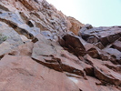 photo thumbnail #10