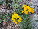 photo thumbnail #14