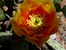 photo thumbnail #4